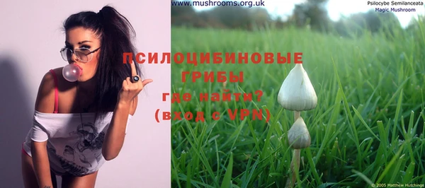 прущая мука Новодвинск
