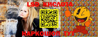 бошки Камышлов