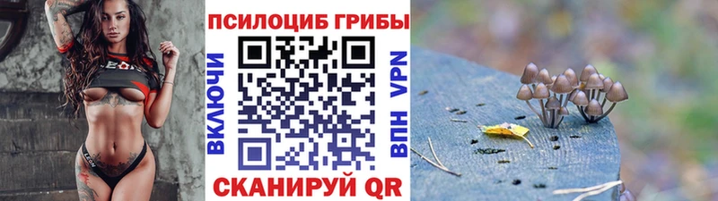 Псилоцибиновые грибы Cubensis  Новодвинск 