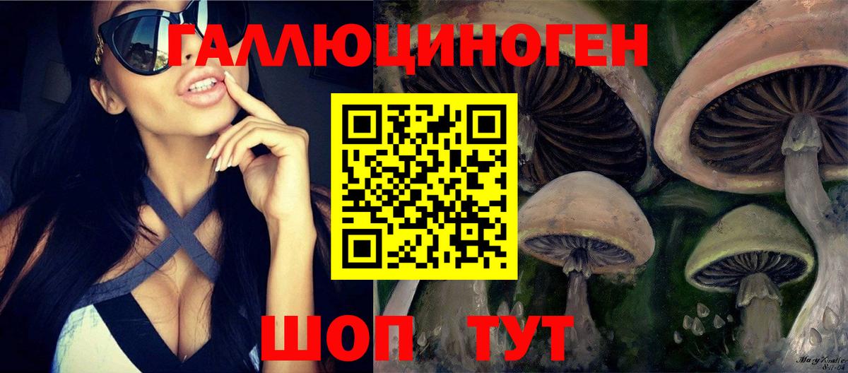 Псилоцибиновые грибы Cubensis Новодвинск