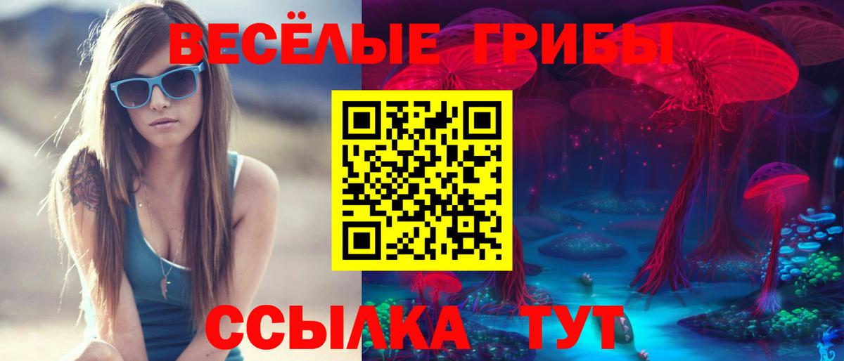 Псилоцибиновые грибы мицелий  Вход с VPN  Галлюциногенные грибы Psilocybe  Новодвинск 