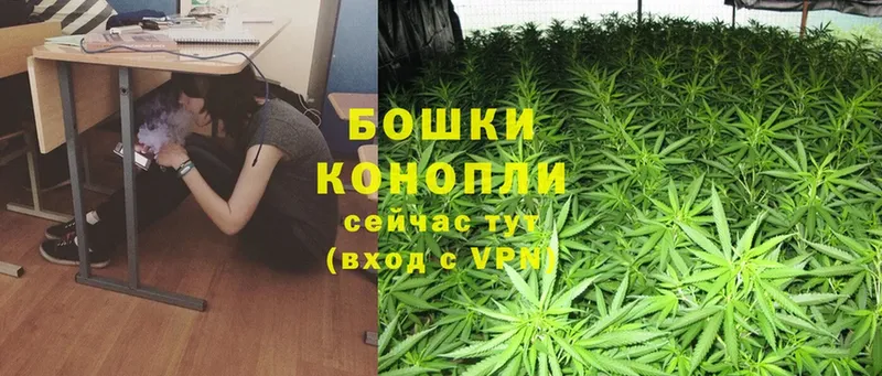 Конопля LSD WEED  Новодвинск 