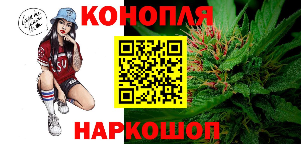 Конопля марихуана Новодвинск
